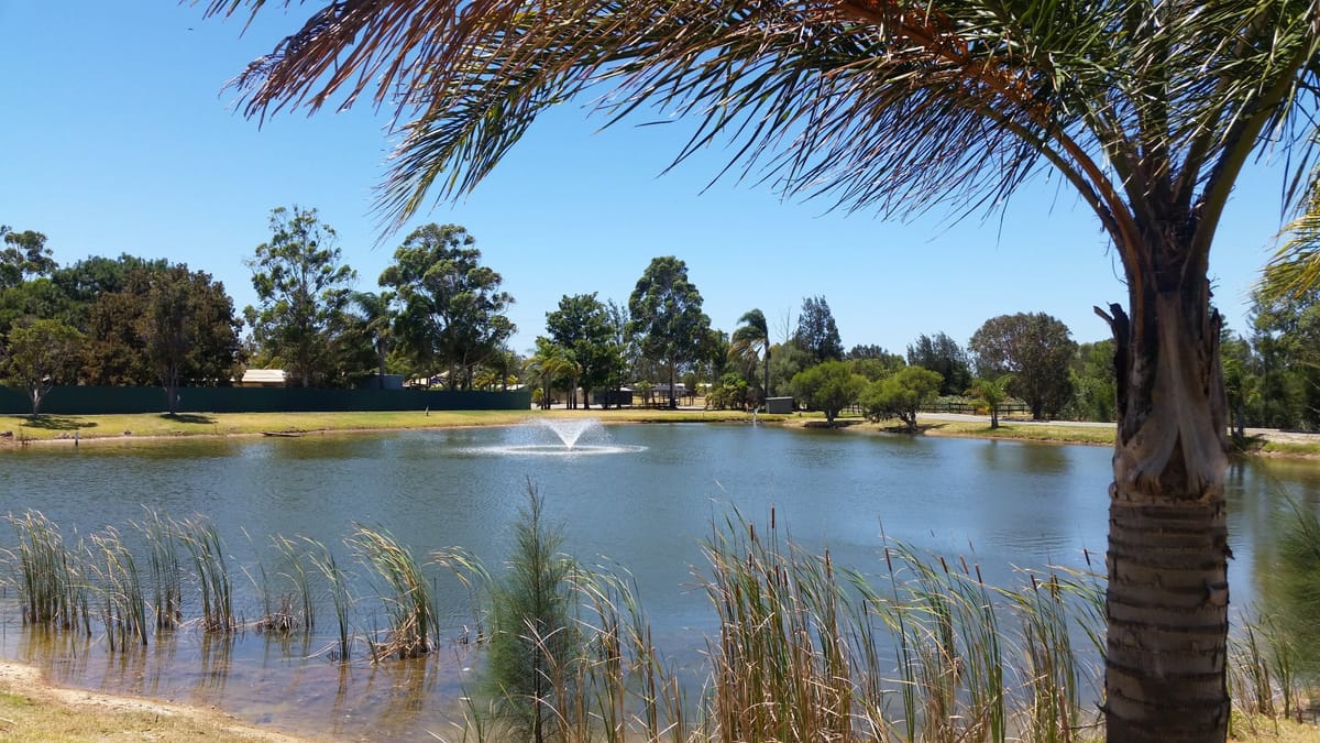 Golden Ponds - The Oasis of Baldivis — 1