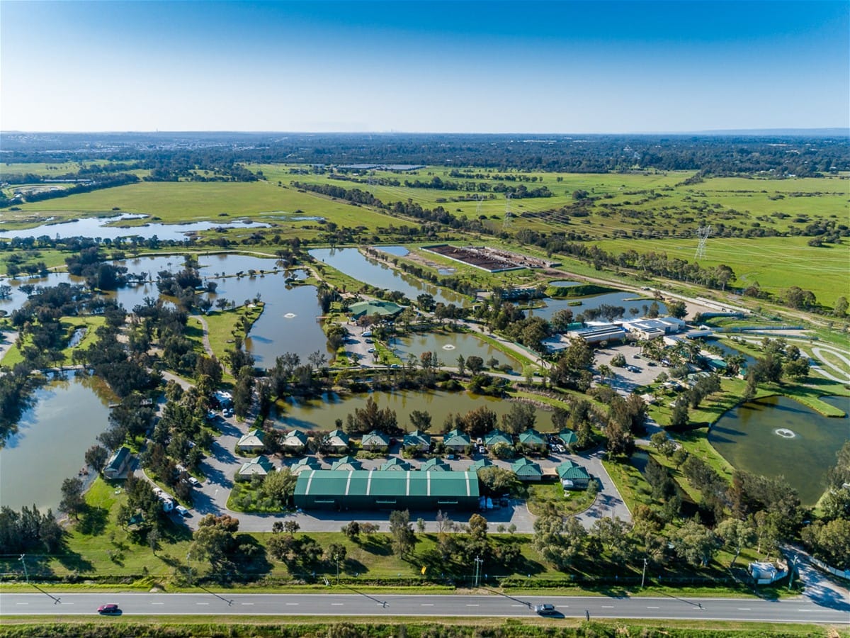 Golden Ponds - The Oasis of Baldivis — 3