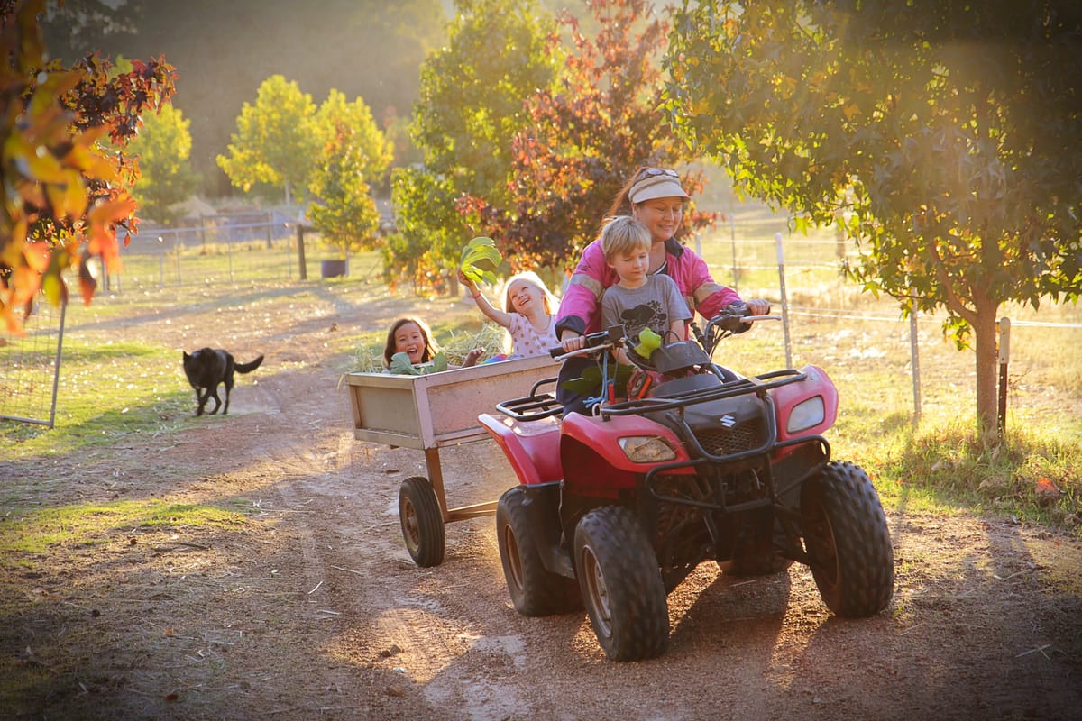 Gumleaf Cottage Farmstay — 5