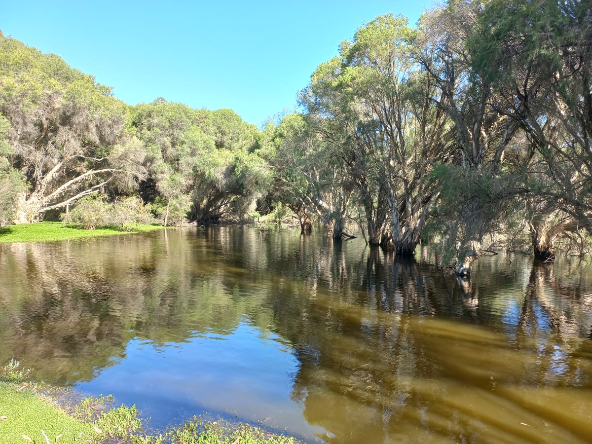 Swan Valley Sisters