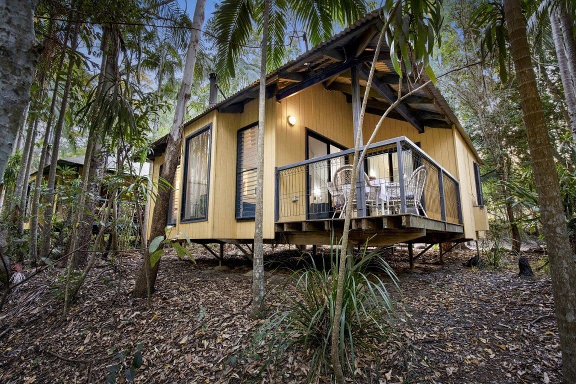 Tamborine Mountain Glades — 2